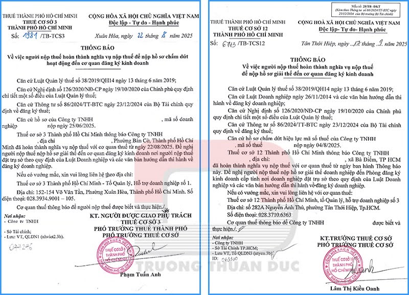 dich-vu-giai-the-doanh-nghiep-uy-tin-dung-luat-tai-truong-thuan-duc_1