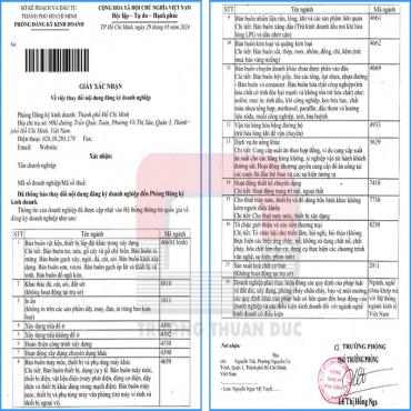 DỊCH VỤ THAY ĐỔI GIẤY PHÉP KINH DOANH QUẬN 3 CHO DOANH NGHIỆP FDI