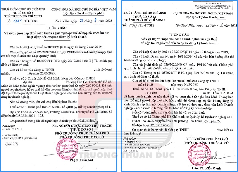 Giải thể công ty tại HCM nhanh chóng, quy trình chuyên nghiệp